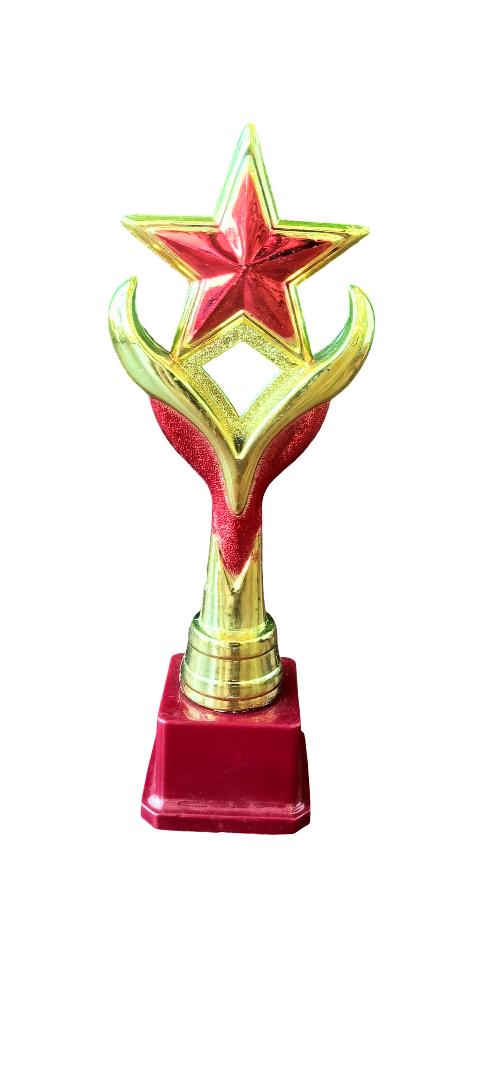 Fyber Trophy