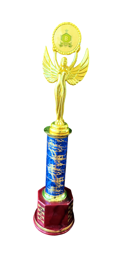 Fyber Trophy